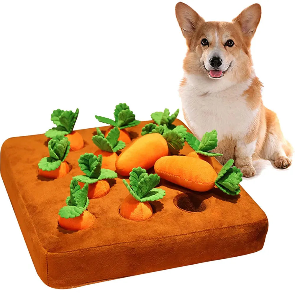 Carrot Dog Puzzle Toy