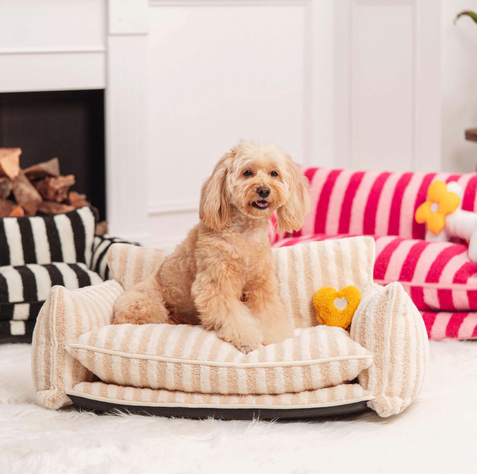 Striped Dog & Cat Sofa Bed