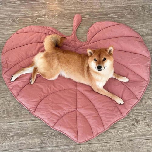 Calming Leaf Dog Mat